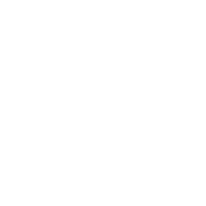 Logo von SOMIRA